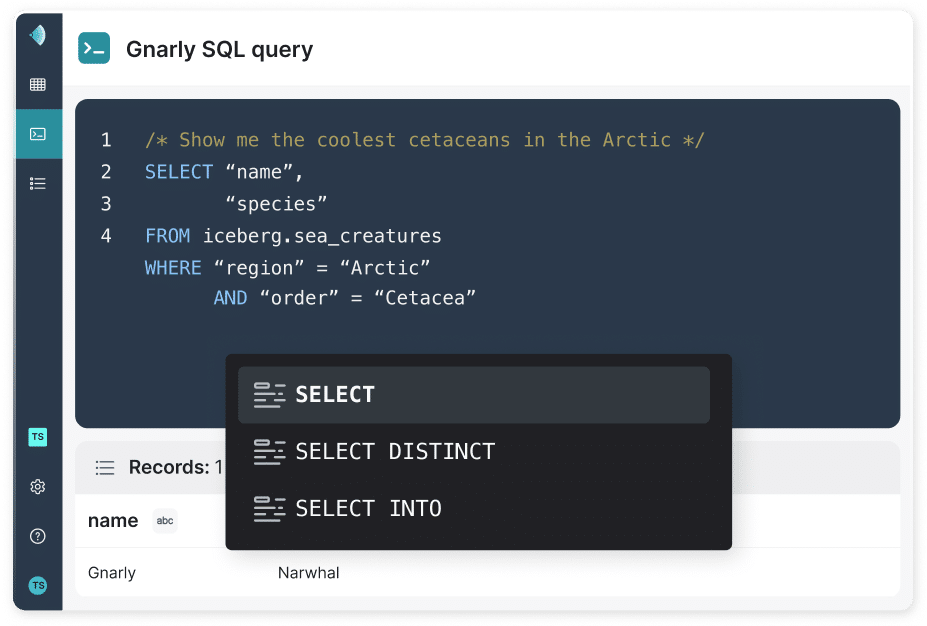 Gnarly SQL query code block screenshot