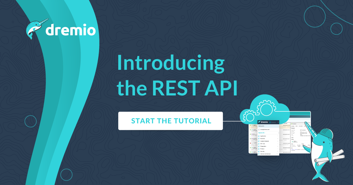 tutorial introducing the rest api image