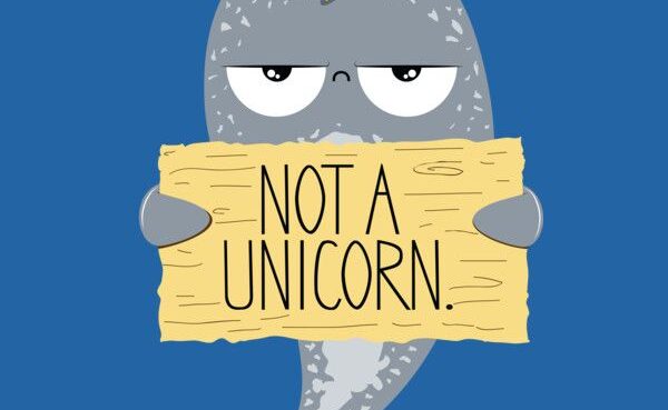 not a unicorn 1