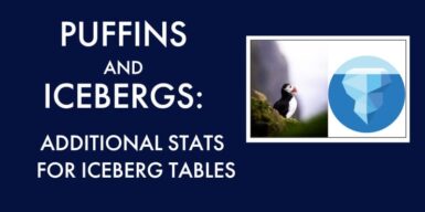 puffin and iceberg