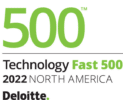 deloitte 500 award 1