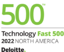 deloitte 500 award 1