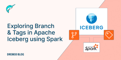 Branch and Tags Spark