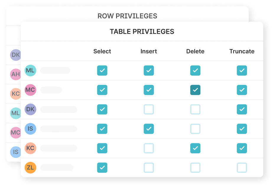 table privileges chart with checked boxes