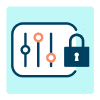 data-lock-icon